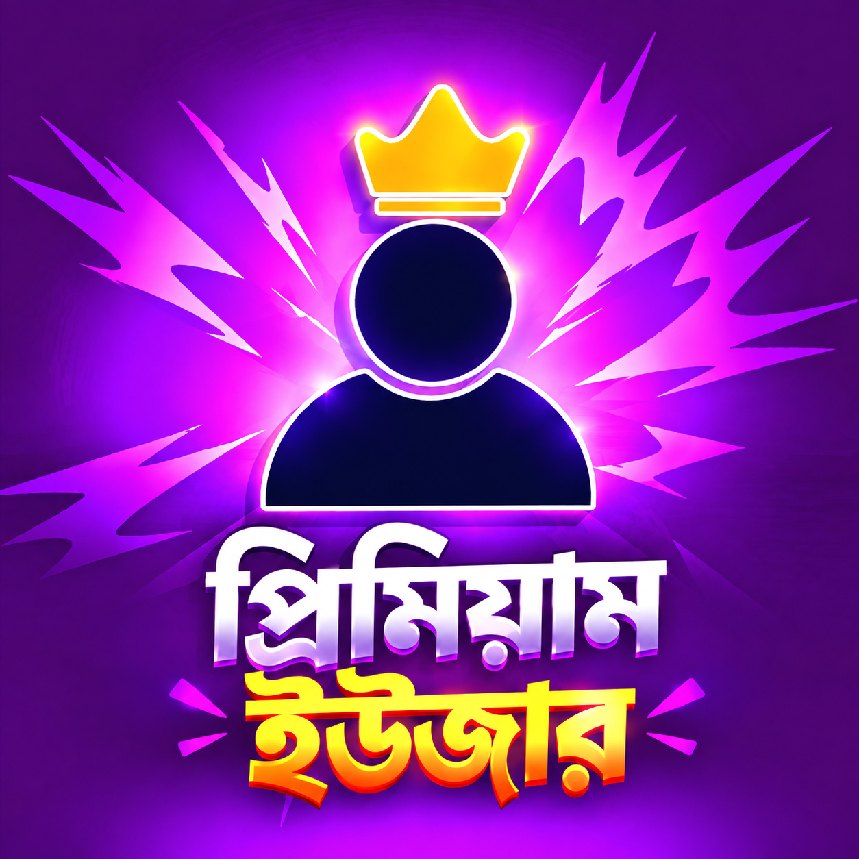 VIP USER